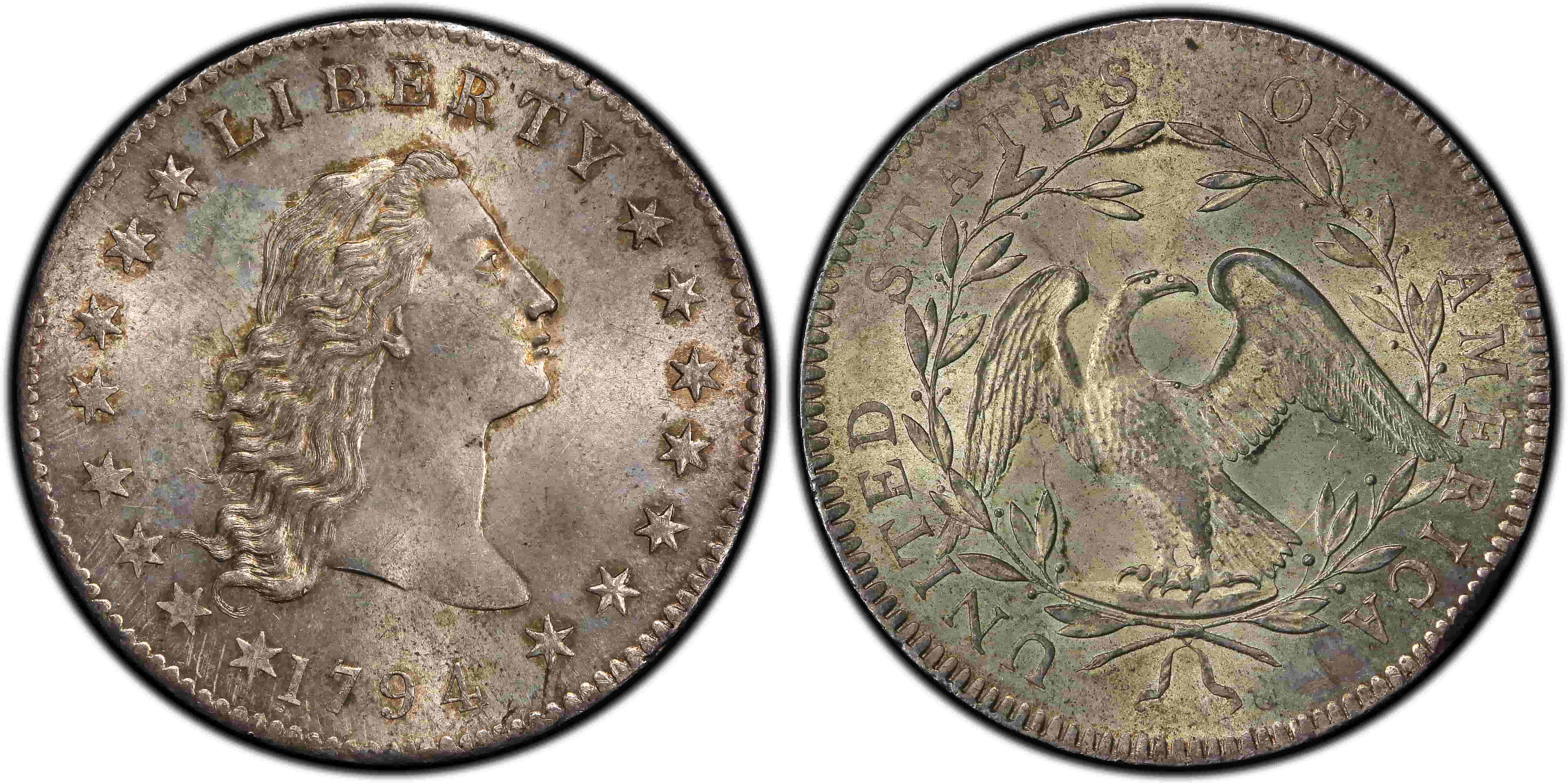 Flowing Hair Silver Dollars